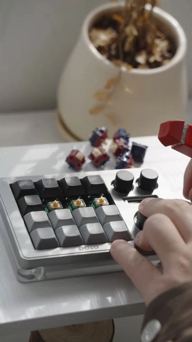 Quinn Switch - 35PCS