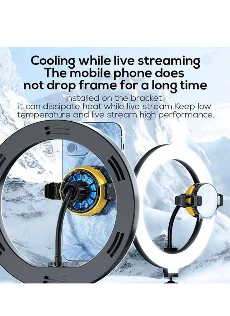 DLA6 - Mobile Phone Cooling Fan 3-Speed Semiconductor Cooling