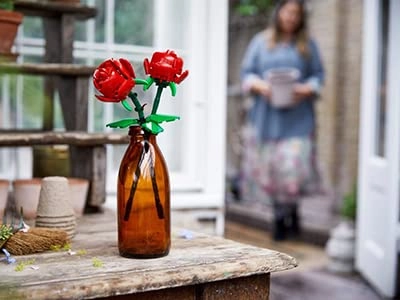 Amelia Earhart Tribute (40450)