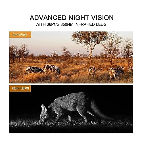 Wildlife Camera - 8MP