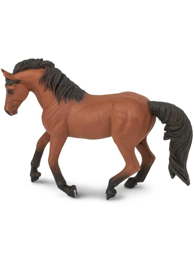 Safari Ltd Morgan Mare