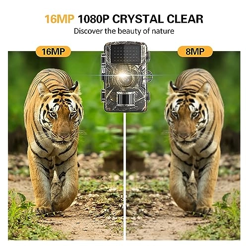 Wildlife HD Hunting Rear Camera - 16MP