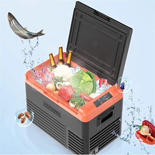 12V Compressor Portable Refrigerator