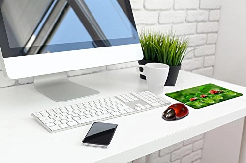 Ladybird Mouse - USB