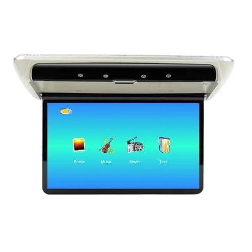 Car Roof Monitor - 13.3 Inch