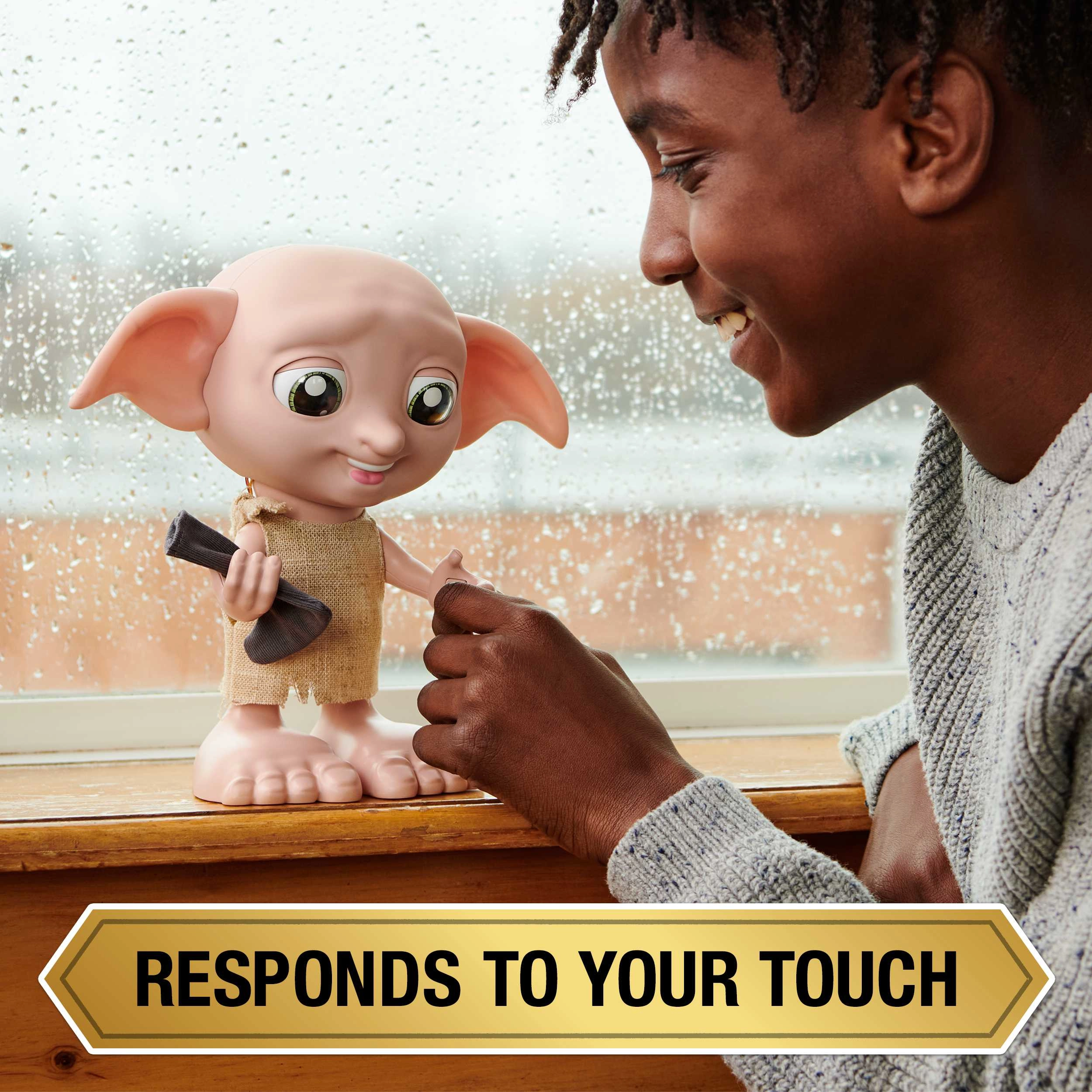 Interactive Dobby