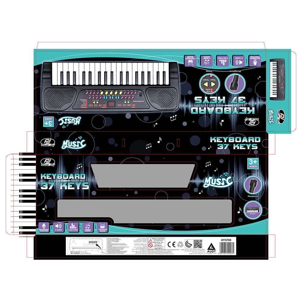 Music Keyboard - 6 demo songs 3 +