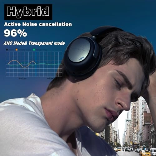 LC30Pro Wireless Headphone