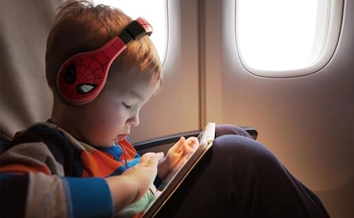 KD-PW-140CH Wired Headphone