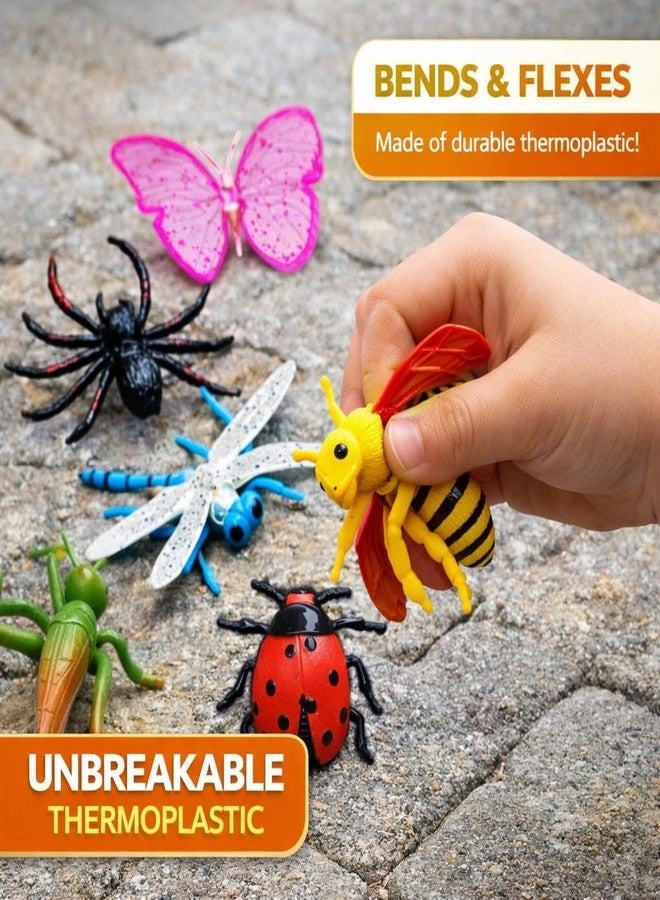 Realistic Insect Toys - Educational 6 pieces
