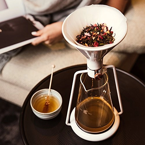 GINA - 750ml Bluetooth Scale Pour-Over Immersion Cold Drip