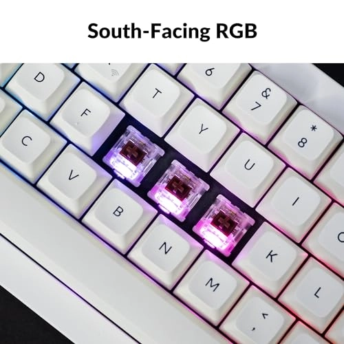 Q2 Max - Wired/Wireless