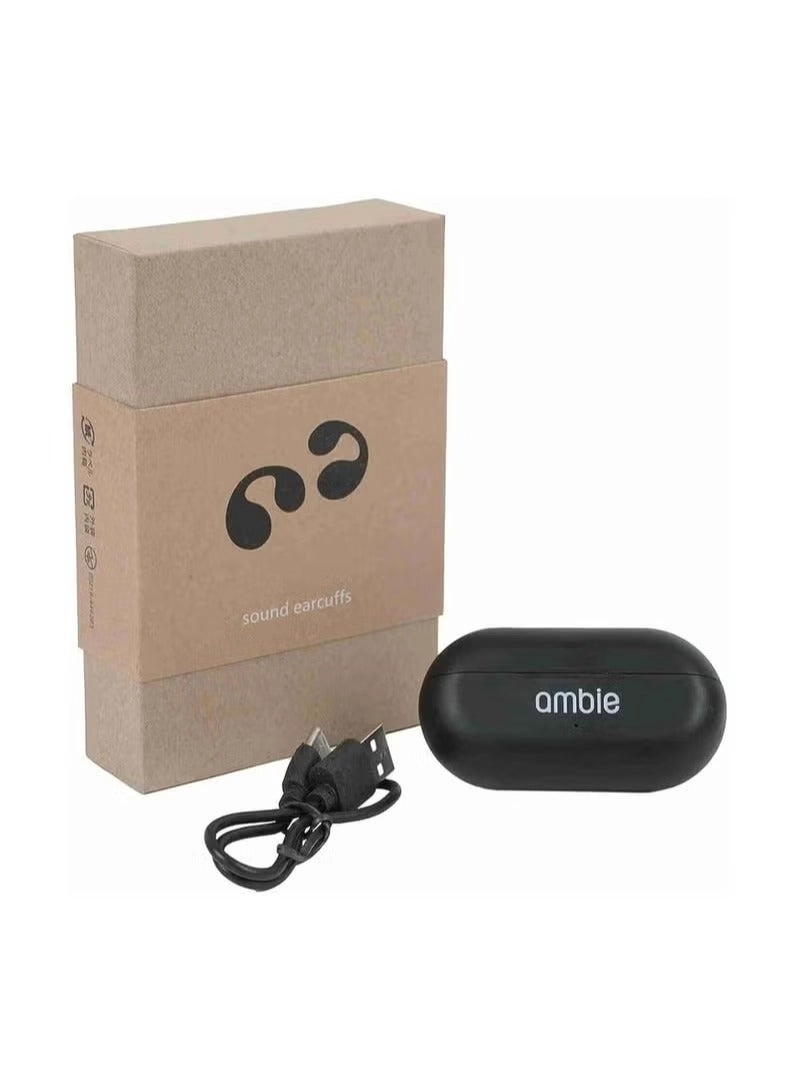 AM-TW01 Wireless Earphone