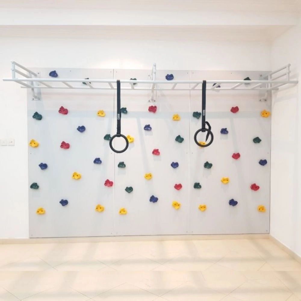 Rock Face Climbing Wall with Monkey Bars - 240 x 120 cm Suitable for 3 to 9 yrs