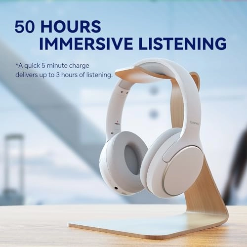 H2 Wireless Headphone