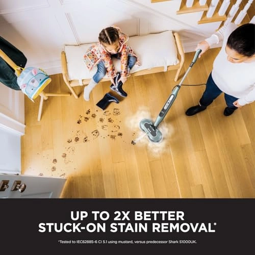 SteamScrubber - 350 Milliliters