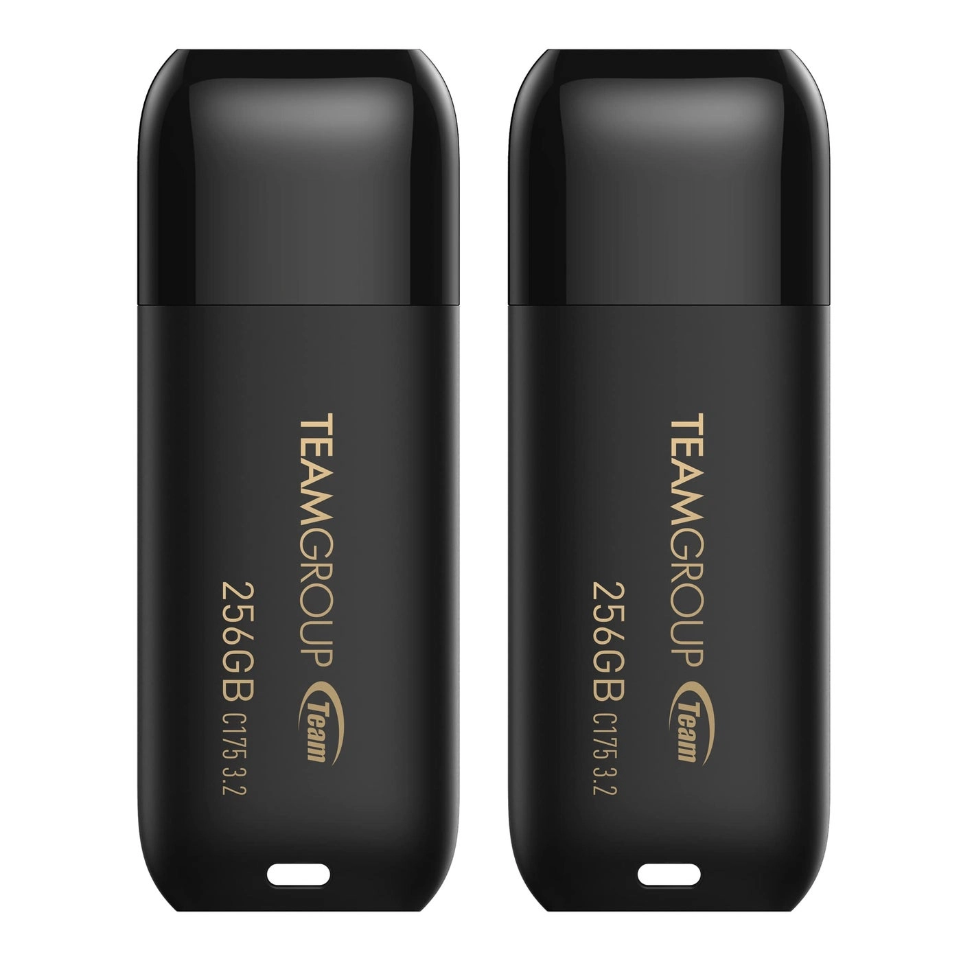 C175 - Gen 1 256GB Pack