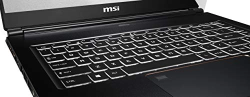 WS65 9TL-686 - 15.6'' Core i7-9750H 32GB DDR4 512GB SSD