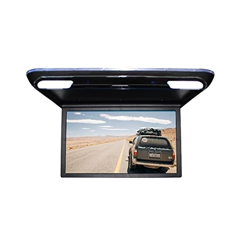 Car Screen - 19 inch