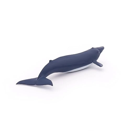 Marine Life - Blue Whale calf (56041)