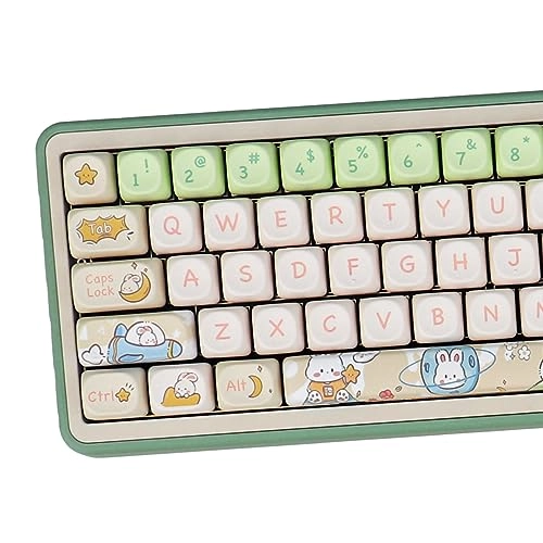 Rabbit Keycaps - Wired