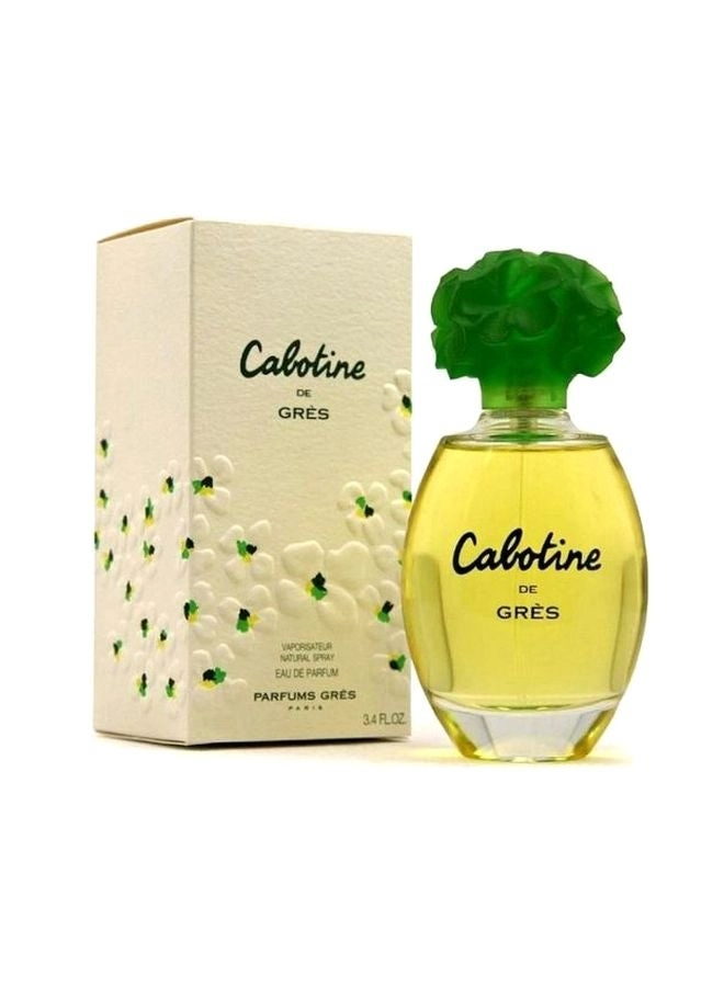 Eau de Parfum - 100ml