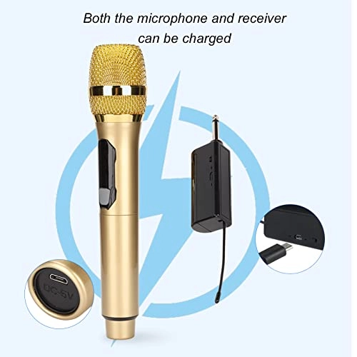 Wireless Microphone - 1