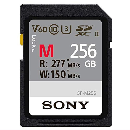 M-Series SDXC - 256GB