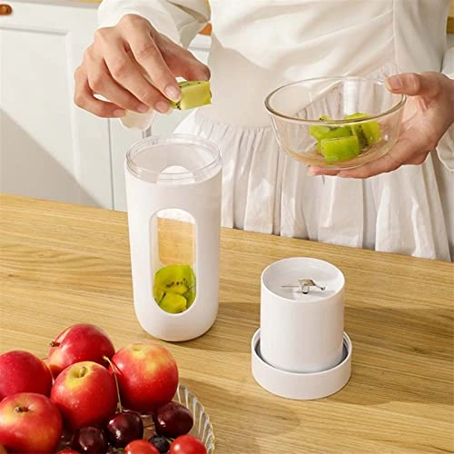 Mini Juicer - 300W 500ml