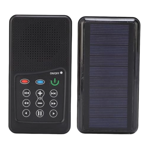 Electronic Scripture Reader - 18 months - 3 years