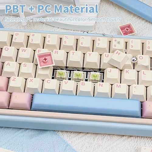 PBT Keycaps - 60%/65%/75%/87/98/104/108 keyboardonly keycaps