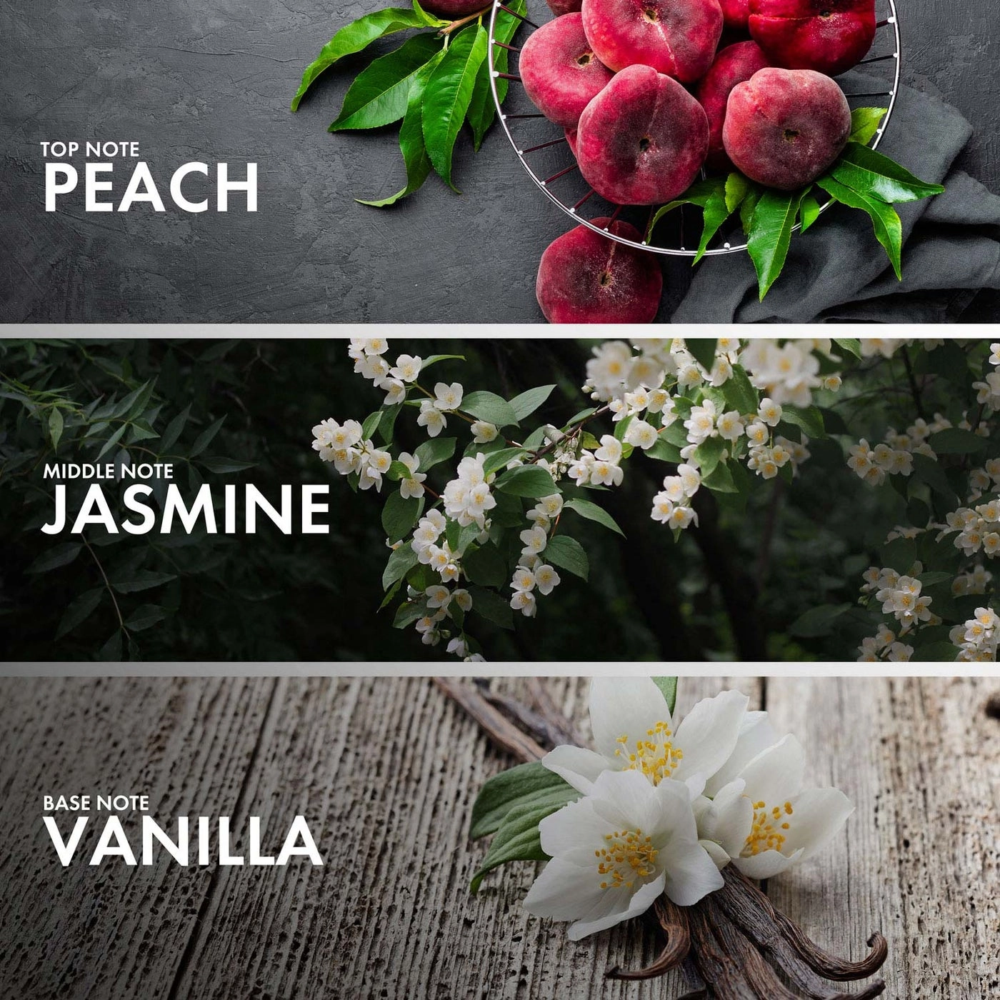 POWDERY MAGNOLIA Eau de Parfum 50ml
