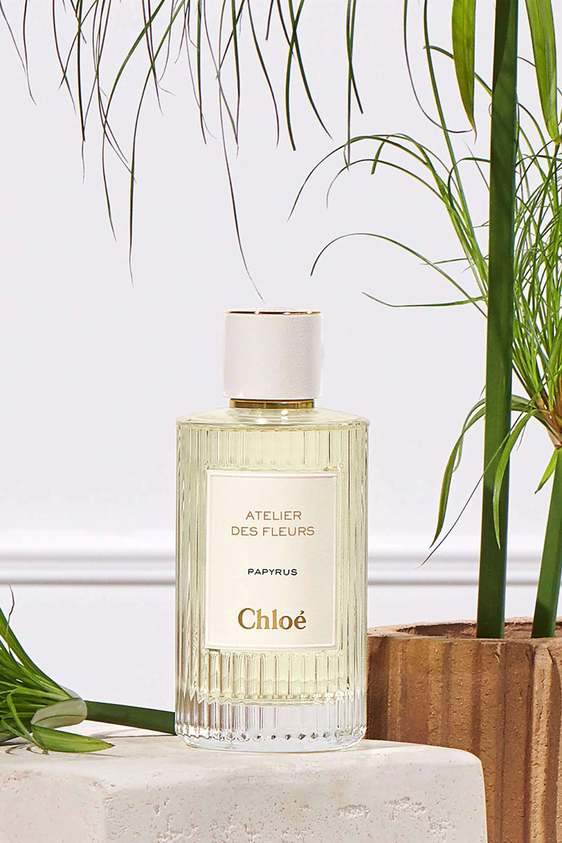 Papyrus Eau de Parfum - 50ml