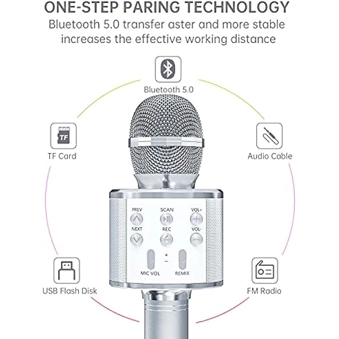 rayihni Karaoke Microphone Pack