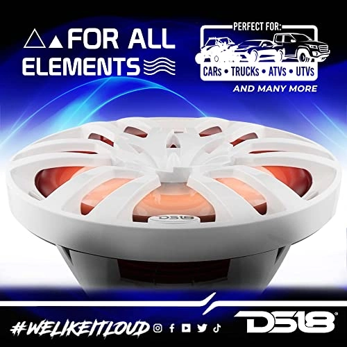 NXL-10 - 10 in 300 Watts