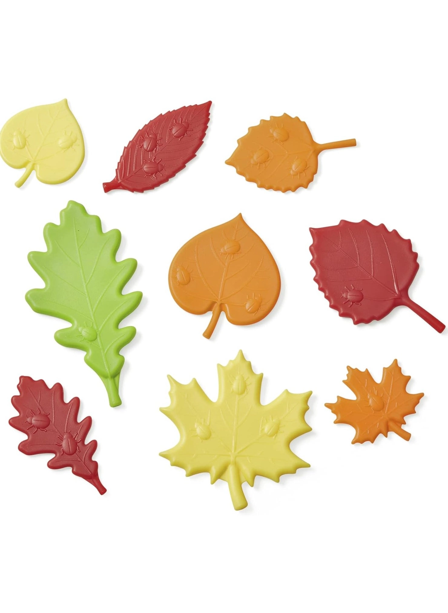 Sensory Leaves Math Activity Set - 3+ Years 46 piece(s)