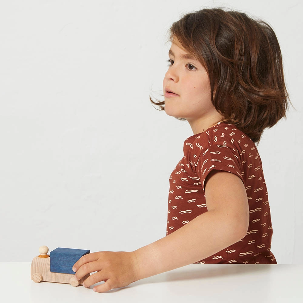 Wooden Truck With Driver - Blue Suitable for 3 years & above