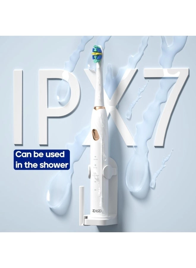 SG-2316 - 10 Brush Heads Travel Case