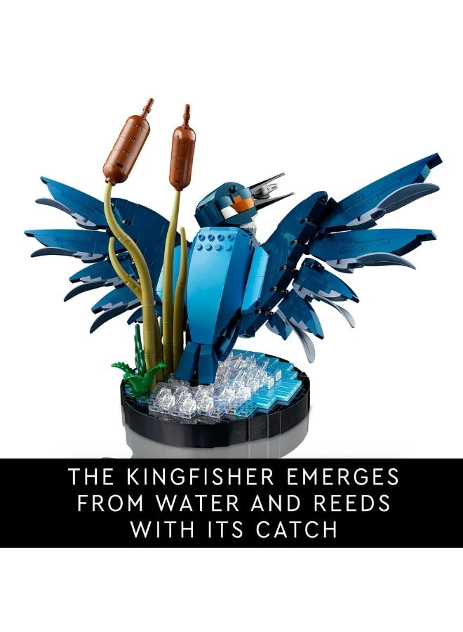 Icons Kingfisher Bird (10331)