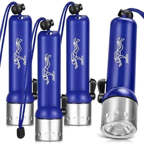 Diving Flashlight - 1000 Lumen T6 LED Waterproof Pack