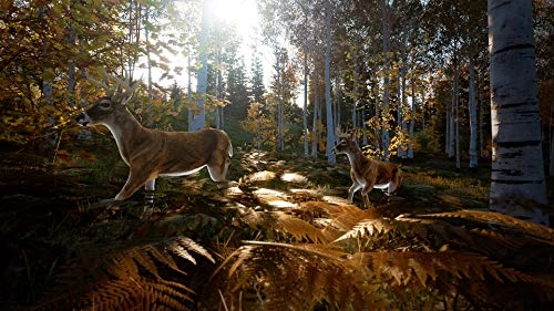 Hunting Simulator 2 - PlayStation 4