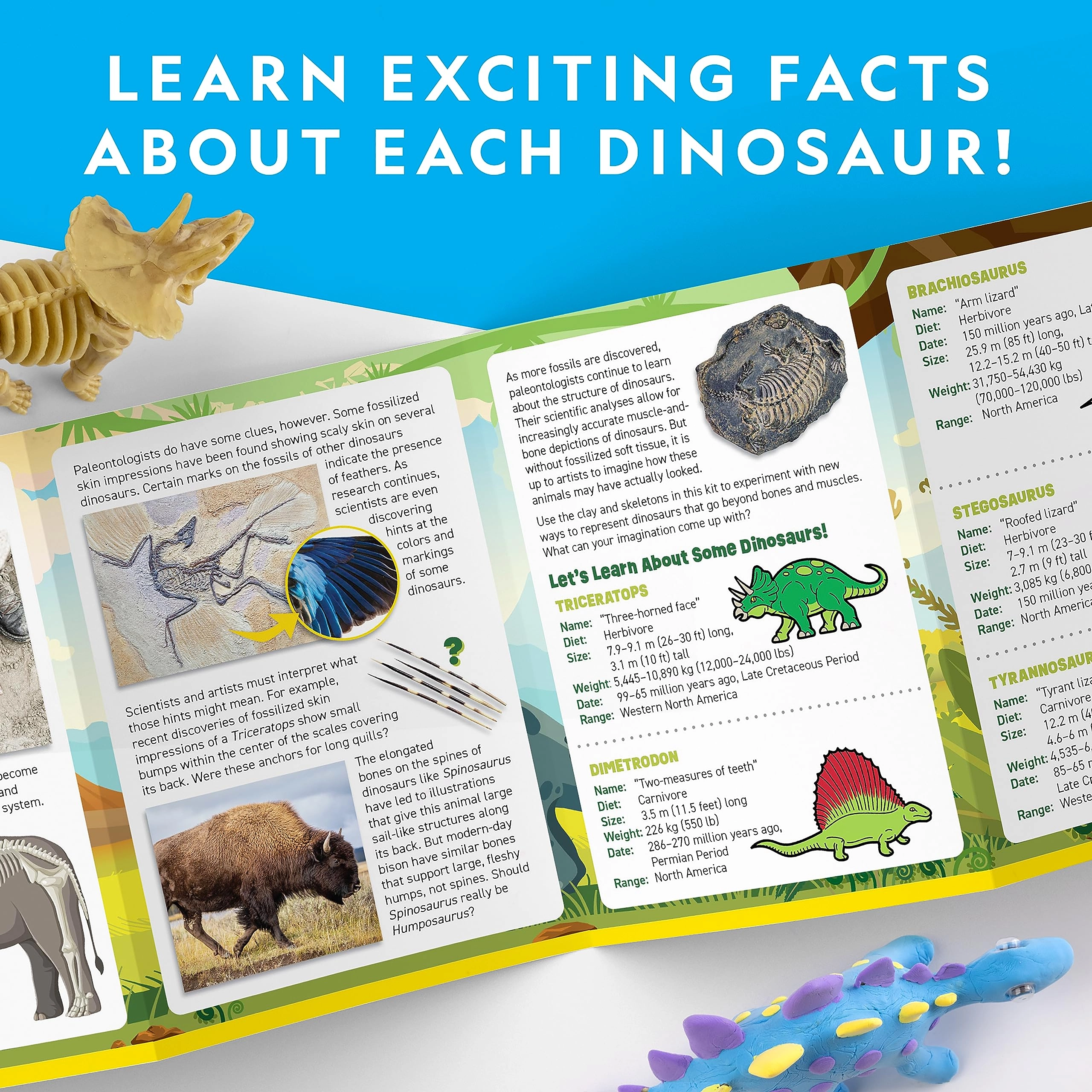 Clay Dinosaur Arts & Crafts Kit