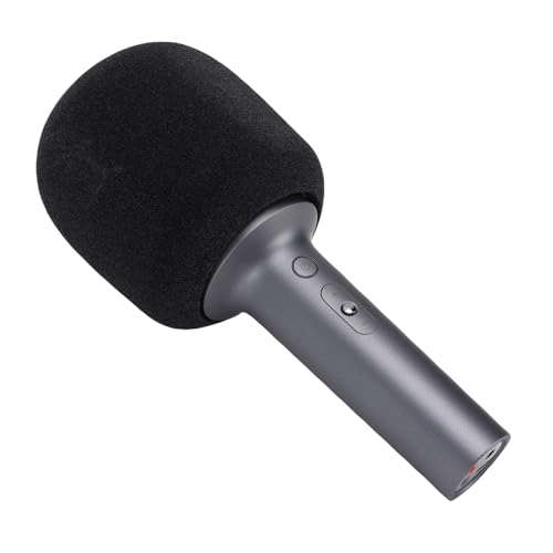 Wireless Microphone - 1 10W