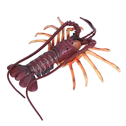 Lobster Model Toy