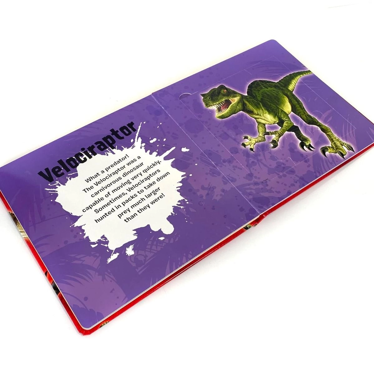 Dinosaurs My First Puzzle Book - 3 + 9 pieces