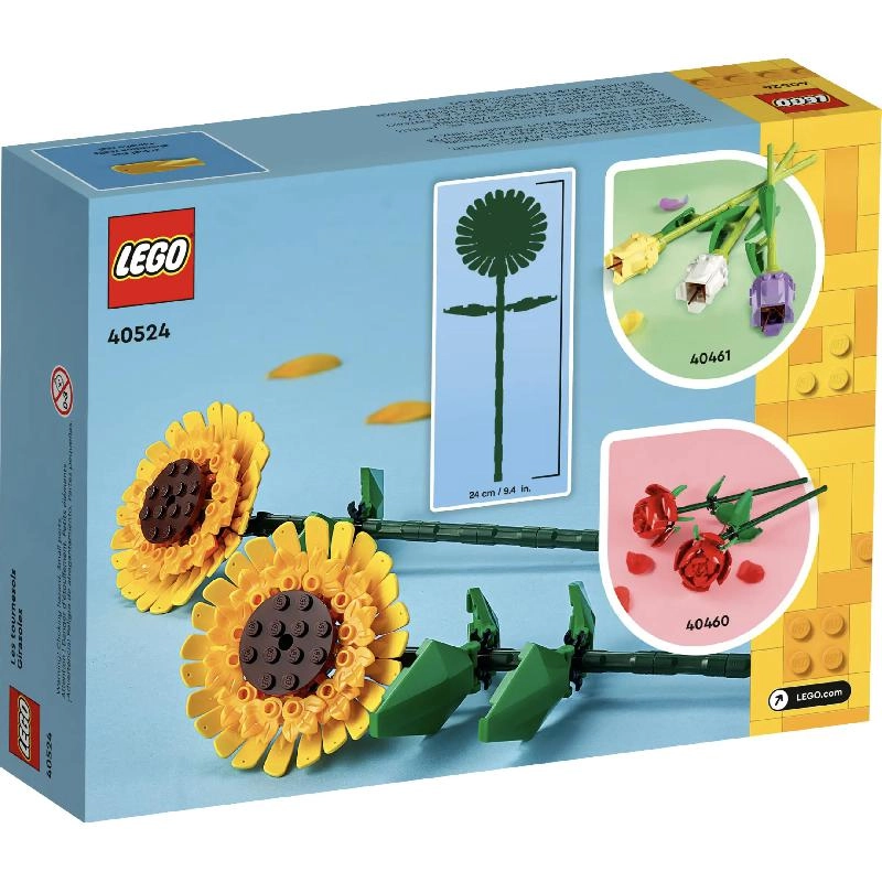 Sunflowers (40524)