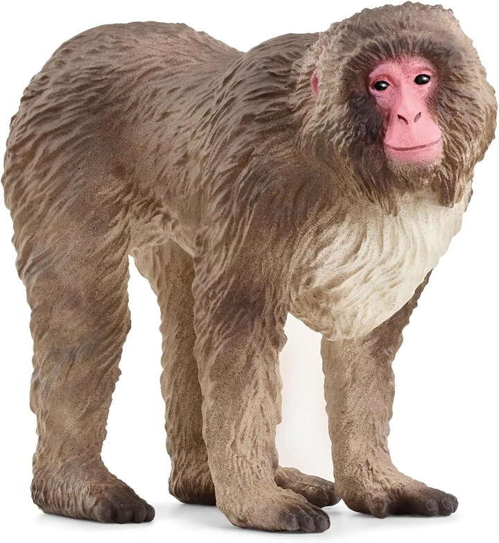COLOR LAND CHILDRENS TOYS CENTER LLC Japanese Macaque - 4+