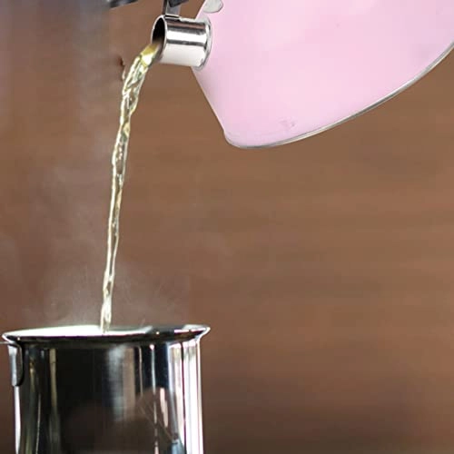 Kettle - food-grade stainless steel