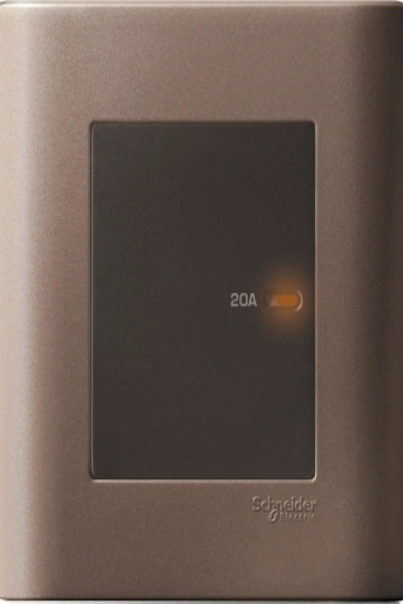 Schneider Electric E8431D20 20A Double Pole Switch