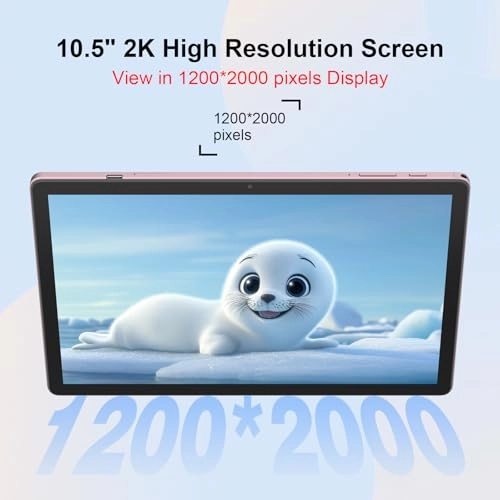 CM11000 Plus - 1TB 10.95"